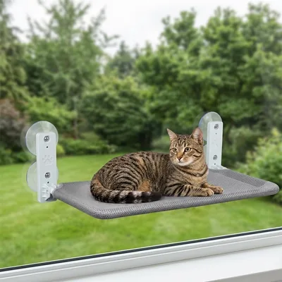 Qpets® कैट विंडो पर्च, फ़ोल्डेबल हैमॉक 52x30cm | सुदृढ़ सूक्ष्म कप विंडो बेड इनडोर केट के लिए