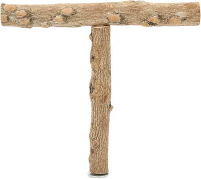 T-Shaped Bird Stand for Parrots - Tabletop Perch, Natural Wood