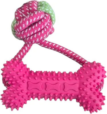 Interactive Dog Chew Toy Set: Rope & Rubber Bone for Dental Care