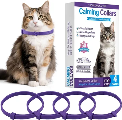 4 Unidades Collar Calmante para Gatos con Feromonas, Seguro y Efectivo para la Sedación del Gato durante los Viajes