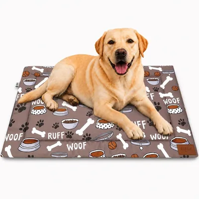 Zigly Lifestyle WoofLife पालतू मैट 35% ऑफ - सॉफ्ट पैडेड पॉलिएस्टर, गैर-स्लिप आरामदायक क्रेट और अधिक के लिए