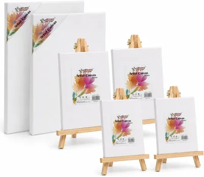 TipTop Artist Canvas Set: 6 Sizes with Easels - Best Deal
