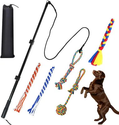 ASOCEA Flirt Pole Dog Toy - Best Deal