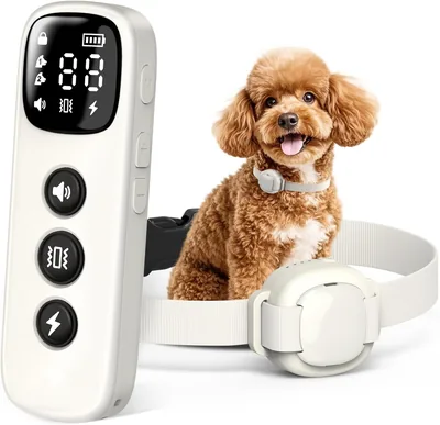 HapTop Shock Collar 28% Off - 5-30lbs Dog Training