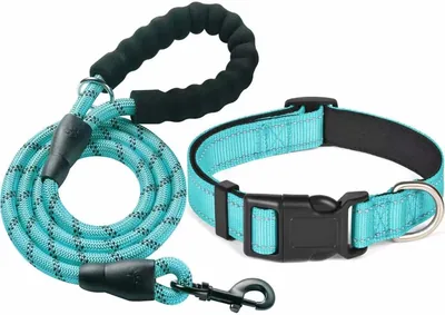 Decaura Dog Collar & Leash Set Blue - Best Deal
