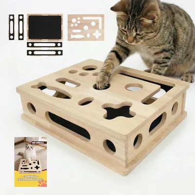 Cat Scratch Puzzle Box 40% Off