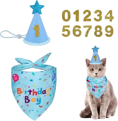 Set di Decorazioni per il Compleanno del Cane Blu Bandana, Sciarpa Regolabile per Cani e Gatti, Bib per Piccoli Cani e Gatti