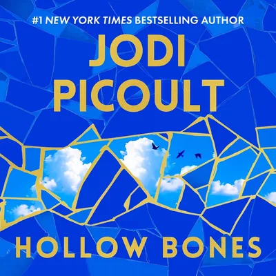 Jodi Picoult Novels