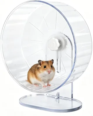 Stiller Hamsterrull, 22cm Balansbik för Hamster med högtydsjusterbara transparenta akse, Super Stille Hamsterleksion
