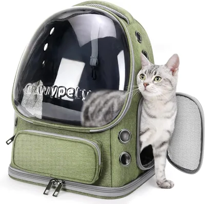 FA PLUS Cat Backpack Carrier, Large Bubble Pet Backpack for Kittys & Small Dogs up to 15lbs, Transparent