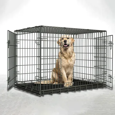FA PLUS 30-Inch iCrate Dog Crate - Medium Breeds, Single Door, Leak-Proof