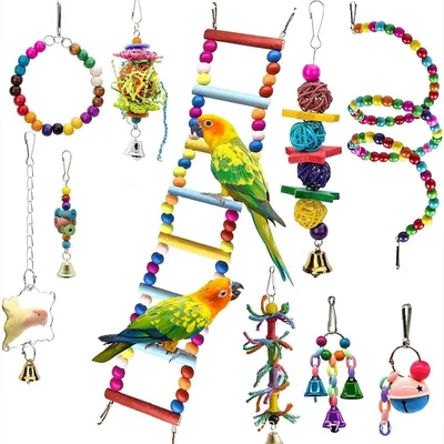 Bird Toys Set, 10 Piece - Best Deal