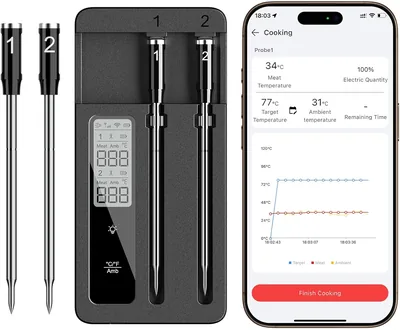 Smart Probe Meat Thermometer - Dual Probes Best Deal
