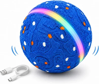 Foicuot Interactive Dog Ball Toy Best Deal