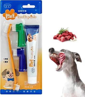 FA PLUS Dog Toothbrush & Toothpaste Kit for Beef-Loving Dogs - Soft Nylon Brush, 60g Paste - Best Deal