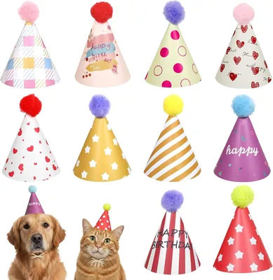 10 Mini Party Hats for Toy Animals - Best Deal