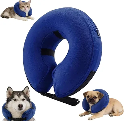 Collar Isabelino para Perro YTZPOI, Cono de Recuperación Post Cirugía para Gatos, Ajustable con Hebilla