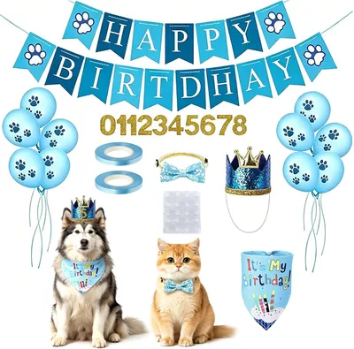 Kit de Cumpleaños para Perro ALLFYL - Bandana + Sombrero + Suministros