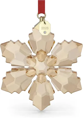 Swarovski Ärsedel 2026 - Best Price