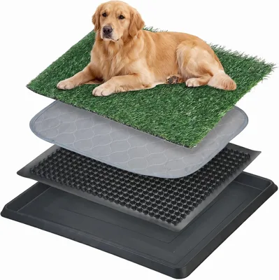 Dog Toilet Tray with Grass - Best Deal