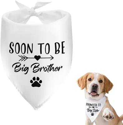 Big Brother Dog Bandana Collar - Best Deal