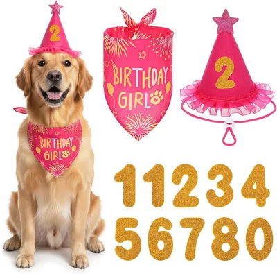 Dog Birthday Bandana Rose Pink - Best Deal