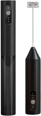 Lola Electric Milk Frother - Black Stainless Steel Rechargeable Mixer with Storage