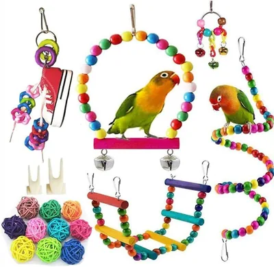 17-Piece Bird Toy Set - Colourful Parrot Swing & More for Medium Birds