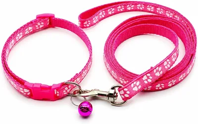 Puppy Collar & Lead Set Footprint - Best Deal