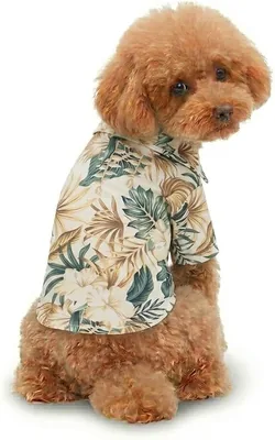 Popapo Danko 犬用服 アロハシャツ 夏服 85%UVカット 通気性 ハワイアンシャツ ペット服