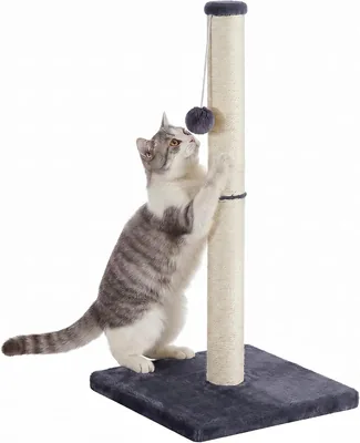 Feandrea Katzenkratzbaum mit Sisalpost und Plüschball, 40 x 40 x 84 cm | Katzenbaum für Kätzchen und Erwachsene Katzen, Stabiler Standfuß