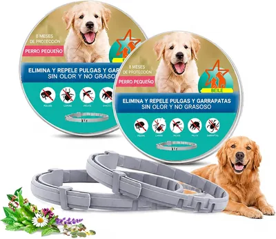 Collar para Perro Weigongr 2Pzs, Protección Continua 8 Meses, Impermeable y Ajustable, para Perros Chicos y Medianos