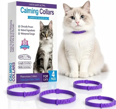 4x Collares Relajantes para Gatos con Feromonas, 38cm, Púrpura - Seguro y Sedante | Mejor Oferta