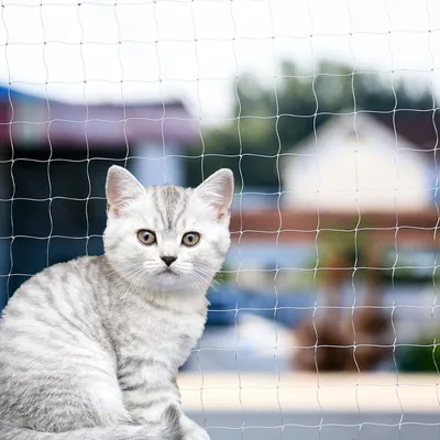Reti per Gatti agctrler 3x10m, Protezione Invisibile per Balconi, Resistente a Morsi, UV e alle Intemperie