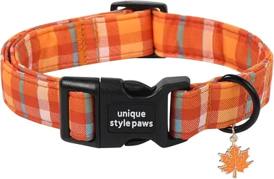 Unique Style Paws Fall Plaid Dog Collar Best Deal