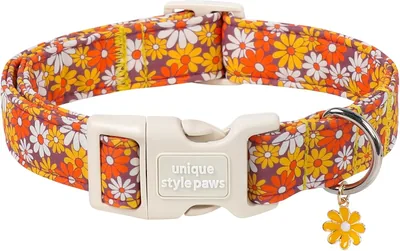 Unique Style Paws Fall Floral Dog Collar Best Deal
