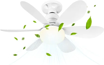 BuzzoXere Ventilateur de Plafond avec Lumière et Télécommande 52CM 40W Petit Ventilateur LED Dimmable 2000LM 3 Couleurs - Best Deal