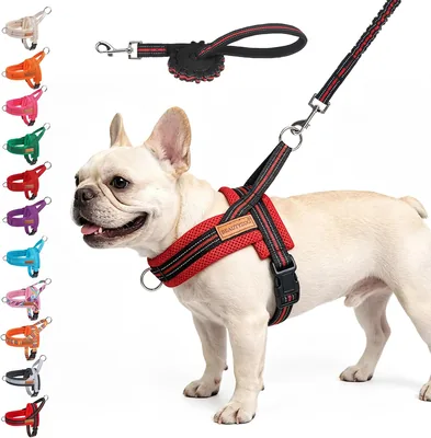 BEAUTYZOO Dog Harness Medium 5% Off