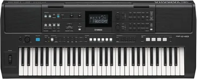 Yamaha PSR-E483 SET: Teclado Portátil 61 Teclas, Sonidos Expresivos, Controles Intuitivos, Negro - Mejor Oferta