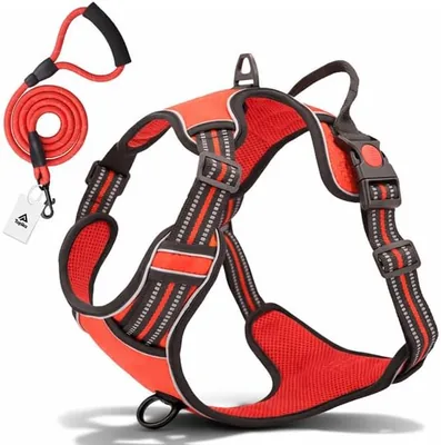 No Pull Dog Harness & Leash - Adjustable Vest ZAR 268.00 Best Deal