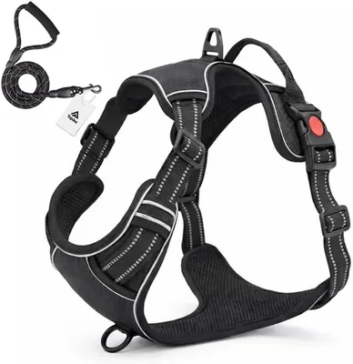 No Pull Dog Harness & Leash - Adjustable Vest ZAR 269.00 Best Deal