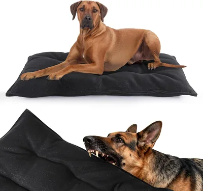 Indestructible Dog Bed - Chew Proof Crate Pad, Black (18x29 in) Best Deal