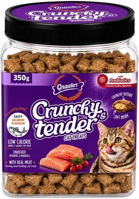 Gnawlers Crunchy & Tender Cat Treats, Salmon 350g Low Calorie