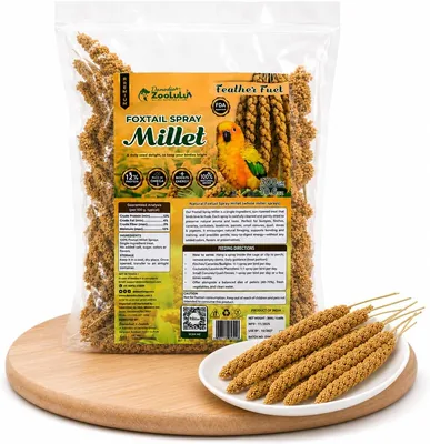 Zoolulu फॉक्टेल स्प्रे मिलेट (300g), डैनोडिया | पूरी स्प्रेज़ का वैक्यूम पैक; प्राकृतिक उपचार और पक्षियों के लिए खोज भोजन
