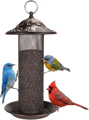 Nyjer/Thistle Seeds Feeder - 23% Off