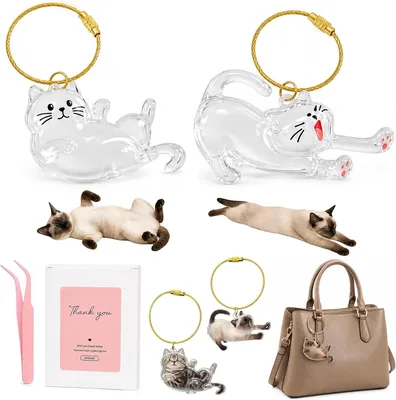 Llavero RhiVrillion de Pelo de Gato, Pendiente Memorial de 2 Piezas para Mascotas, Regalo para Gatos - Recordatorio Transparente DIY