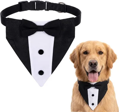 Larrel Bandana smokingowa dla psa, regulowana, bawełniana | Najlepsza oferta
