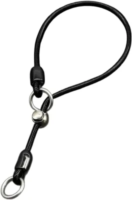 Lafraecy Black Slip Collar for Dogs Best Deal