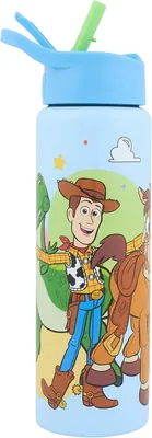 Disney Pixar Toy Story Stainless Steel Water Bottle 750ml Best Deal