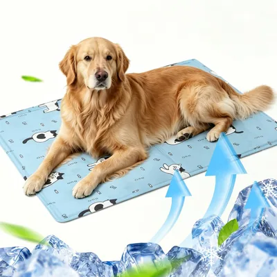 JRTYMLU Manta de Enfriamiento para Perros con Conexión al Agua, 60 x 90 cm, Cama de Perro con Gel No Tóxico, Resistente a Rasguños, Grande, Mediana - Mejor Oferta